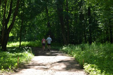 Aile parkta yürüyor.