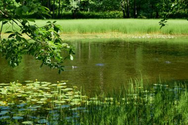 Göl, yaz göleti, gölet