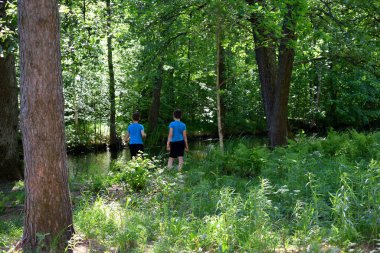 a walk in the summer park
