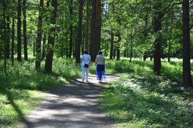 a married couple walks in the park