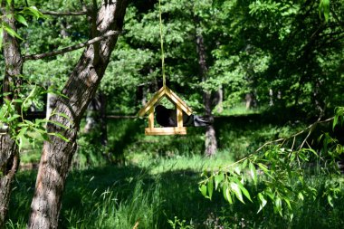 Yürümek için park et, boş bir yer bul.