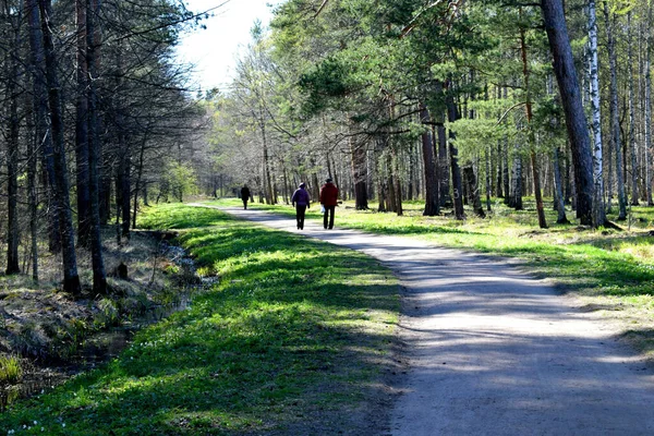park, a place of recreation and outdoor walks