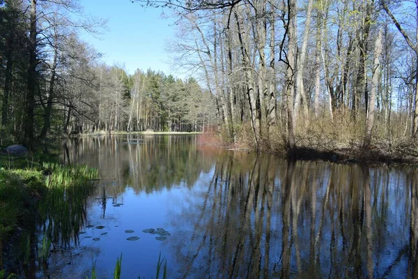 Park Ein Ort Für Erholung Und Spaziergänge — Stockfoto