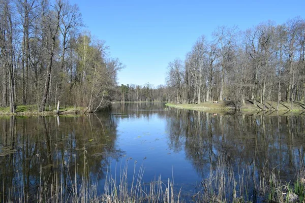 Park Miejsce Rekreacji Spacerów — Zdjęcie stockowe