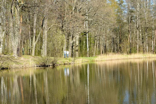 Parque Lugar Para Recreação Caminhada — Fotografia de Stock