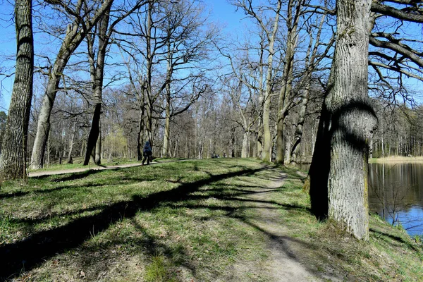 Park Een Plek Voor Recreatie Wandelen — Stockfoto