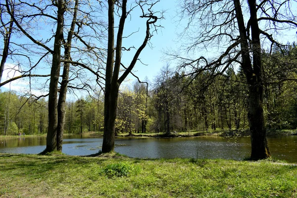 Park Für Spaziergänge Ein Ort Für Freizeit — Stockfoto