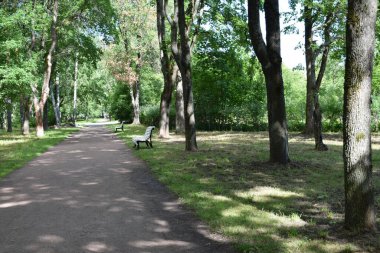 Temiz havada yürümek için park et.