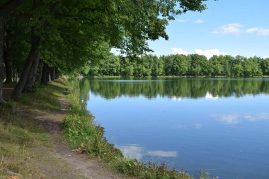 Yaz göleti, sudaki yansıma, Park