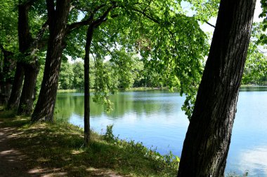 Yaz göleti, sudaki yansıma, Park