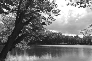 Yaz göleti, sudaki yansıma, Park