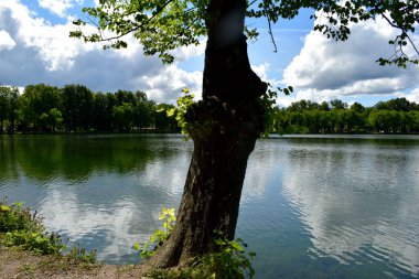 Yaz göleti, sudaki yansıma, Park
