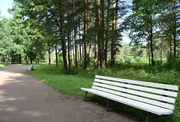 Parque Para Paseos Aire Libre —  Fotos de Stock