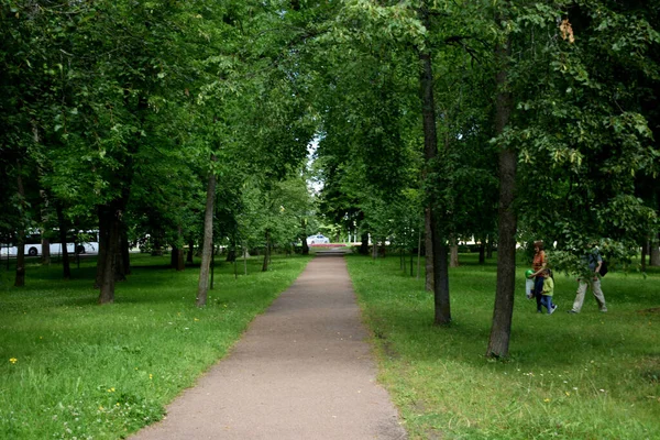 Park Voor Wandelingen Frisse Lucht — Stockfoto