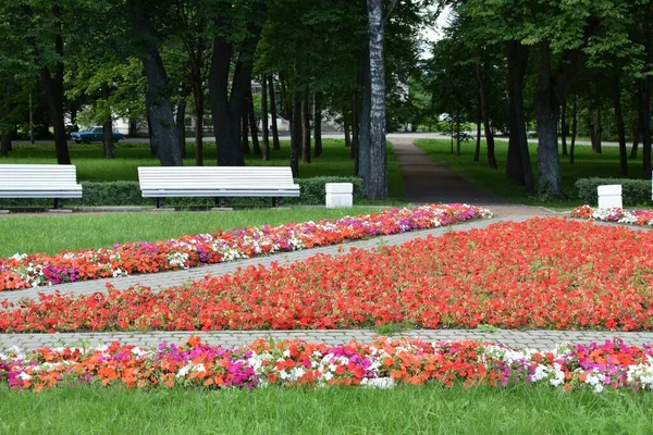 Parque Para Paseos Aire Libre —  Fotos de Stock