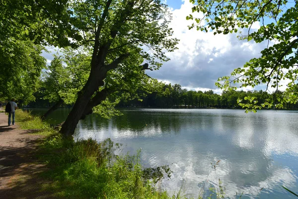 Летний Пруд Отражение Воде Парк — стоковое фото