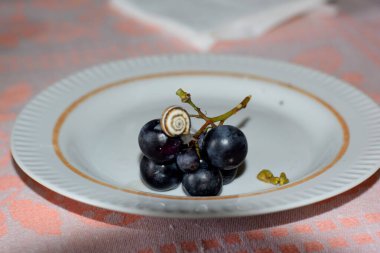 Üzümlü salyangoz tabağında