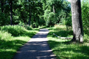 Temiz havada yürümek için park et.