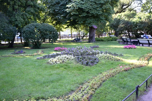 Jardín Flores Cama Flores Parque —  Fotos de Stock