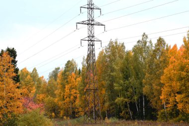 Elektrik hattı, kablolu direkler.