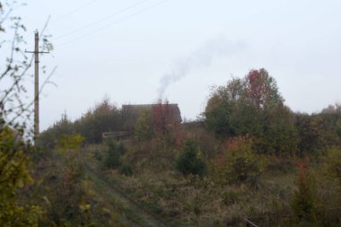 Sisin içindeki ağaçlar, sabah