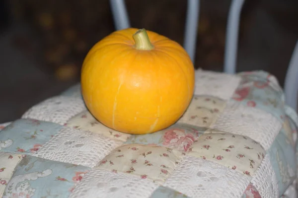 Calabaza Madura Cosecha Otoño Vitaminas — Foto de Stock