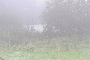 Kırsalda sisli bir sabah