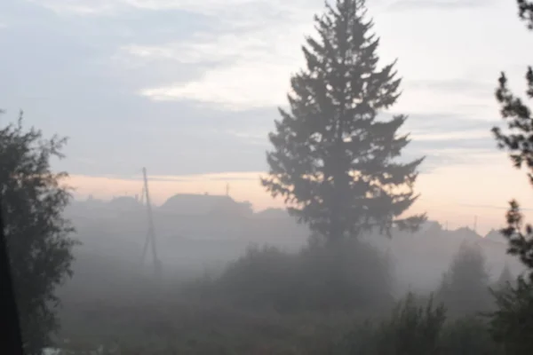 Nebliger Morgen Auf Dem Land — Stockfoto