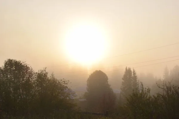 田舎の霧の朝 — ストック写真