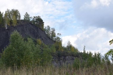 Sonbahar ormanı, tayga, ormandaki ağaçlar.
