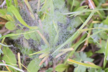 Güz Parkı, yürümek için bir yer.