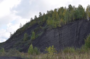 Güz Parkı, yürümek için bir yer.