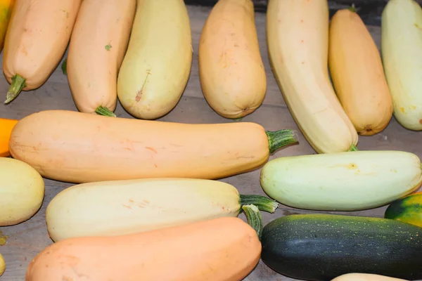 Courgette Herfstoogst Groenten Vitaminen — Stockfoto