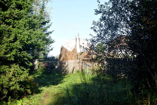 Land Dorf Haus Wald — Stockfoto