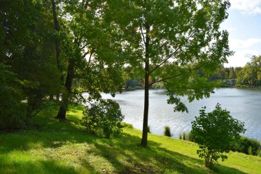 Sonbaharda parkta göl