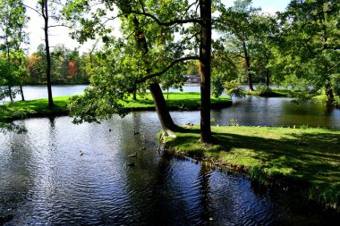 Sonbaharda parkta göl