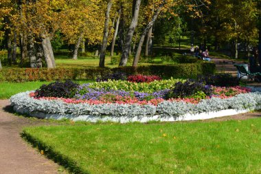 Güz Parkı, yürümek için bir yer.