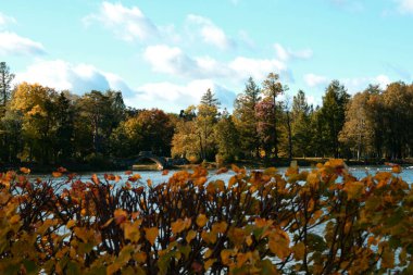 Güz Parkı, yürümek için bir yer.