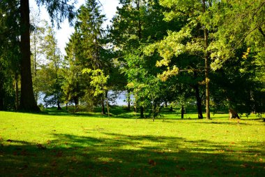 Güz Parkı, yürümek için bir yer.