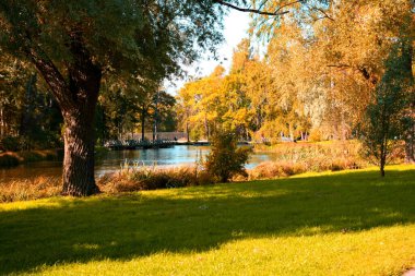 Güz Parkı, yürümek için bir yer.