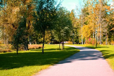 Güz Parkı, yürümek için bir yer.