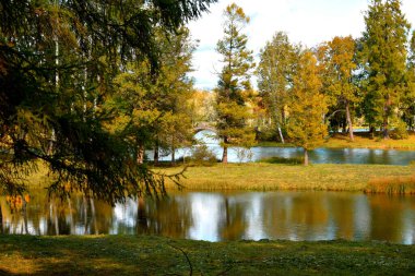 Sonbahar Parkı 'nda ağaçlar, yürümek için bir yer.