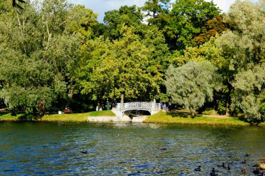 Parktaki göl, sonbahar günü.