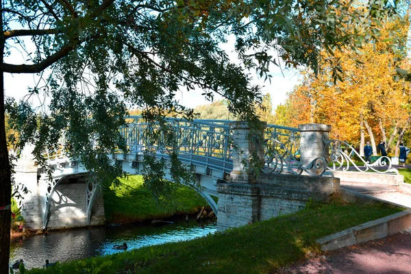 公园内的运河大桥 — 图库照片