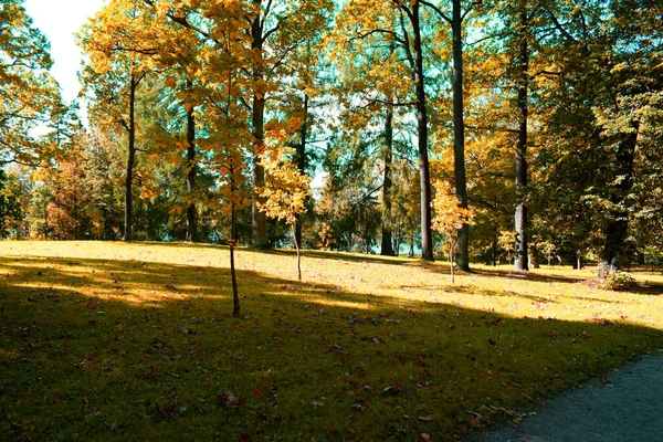 Outono Parque Lugar Para Caminhar — Fotografia de Stock