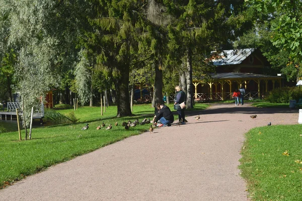 秋の公園 歩くための場所 — ストック写真