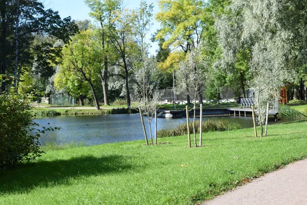 秋天公园里的一个湖边 一个散步的地方 — 图库照片