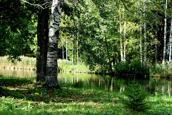 Autumn Park Place Walking — Stock Photo, Image