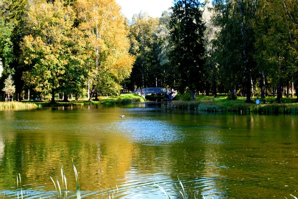 Lago Autunno Parco Luogo Passeggiate — Foto Stock