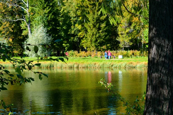 Озеро Осеннем Парке Место Прогулок — стоковое фото
